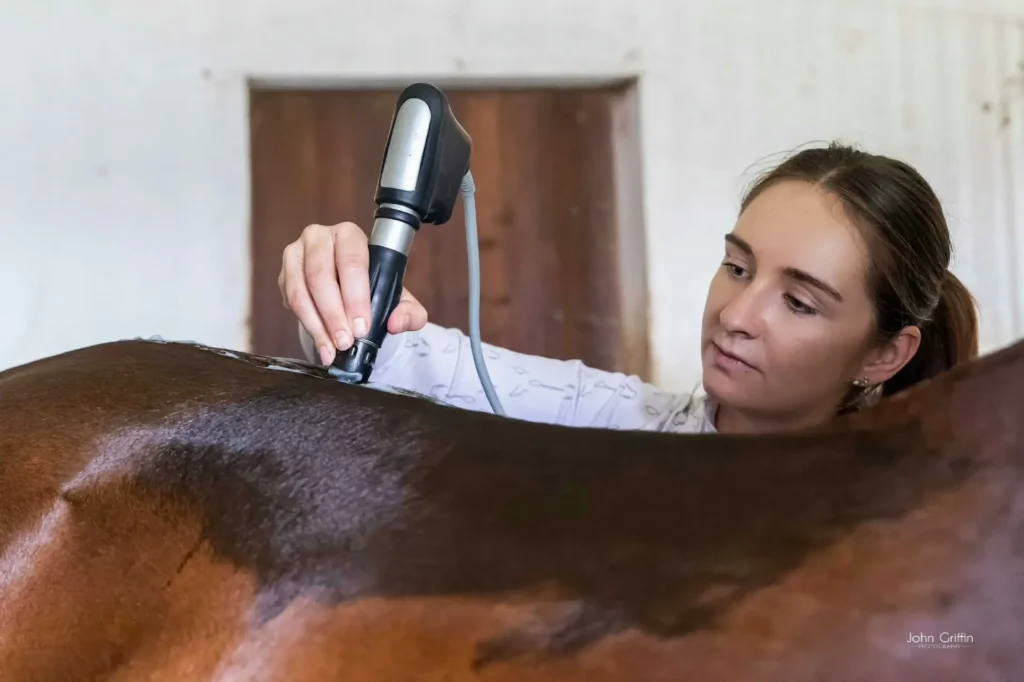 Sherize performing shockwave on a horse's back