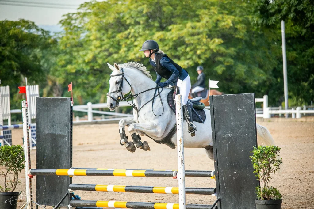 A white horse jumping over a fence at a show.