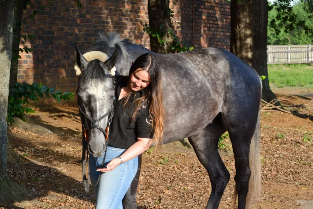A pretty grey horse nuzzling it's owner happily.
