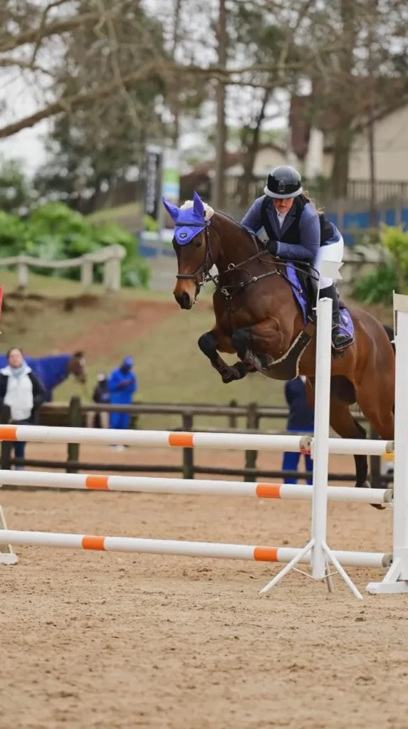 A dark bay horse jumping with massive scope at a show.