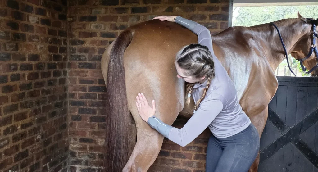 Sherize treating a horse with fascia release