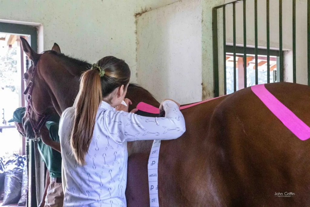 Sherize taping a horse