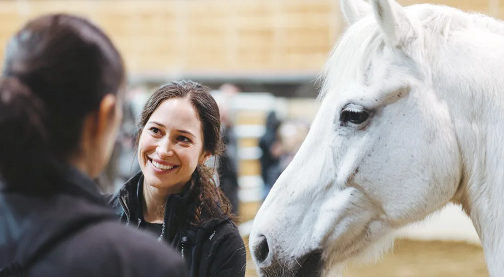 Two people in a consultation at a stable yard with a horse in frame