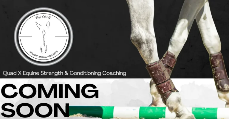 TOHAP Strength and Conditioning Coaching